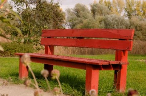 bench outside